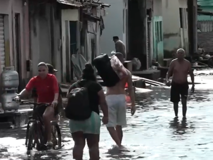 Leptospirose: O aumento do risco durante as chuvas intensas