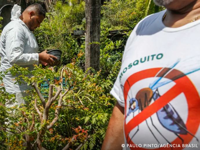 Dia D contra dengue promove a&ccedil;&otilde;es de conscientiza&ccedil;&atilde;o em todo o Brasil