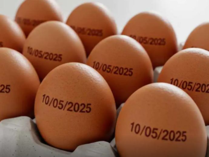 Pa&iacute;s tem recorde na produ&ccedil;&atilde;o de ovos, abate de bovinos, frango e porco