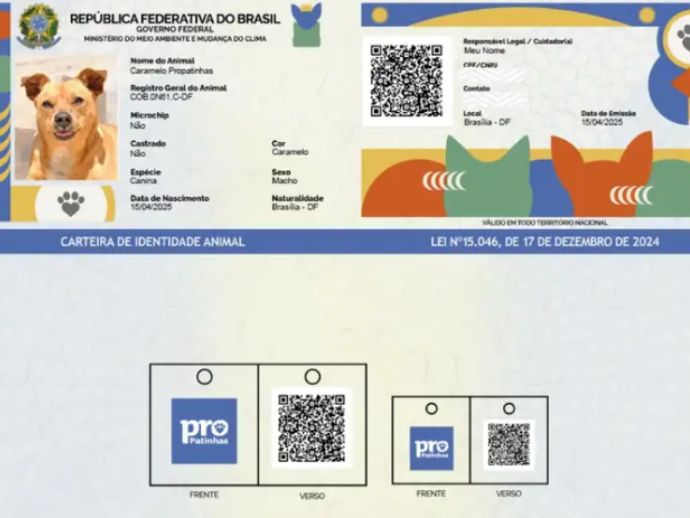 Saiba como funciona o SinPatinhas, novo RG Animal para c&atilde;es e gatos