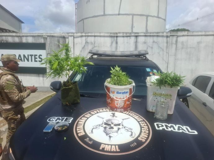 Pol&iacute;cia apreende mais de cinco quilos de drogas e prende suspeito em Macei&oacute;
