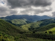 Opera&ccedil;&atilde;o contra o desmatamento da Mata Atl&acirc;ntica come&ccedil;a em 17 estados