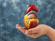 Doen&ccedil;as cardiovasculares matam 400 mil brasileiros por ano