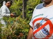 Dia D contra dengue promove a&ccedil;&otilde;es de conscientiza&ccedil;&atilde;o em todo o Brasil
