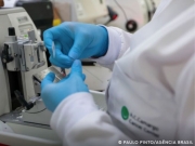 Cura de c&acirc;ncer de pr&oacute;stata pode chegar a at&eacute; 98%