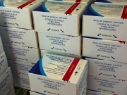 Alagoas recebe 12,4 mil doses da nova vacina contra o VSR para prote&ccedil;&atilde;o de gestantes e beb&ecirc;s
